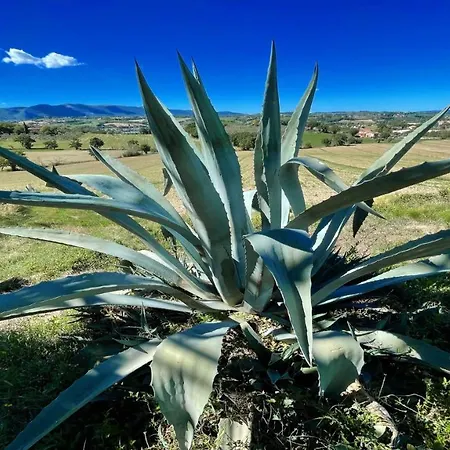 Fabulous Foliage In Extensive Grounds You Will Love Staying Here In Paradise Colle Umberto (Umbria)