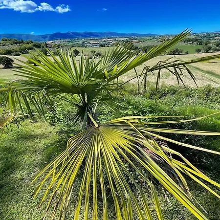 Fabulous Foliage In Extensive Grounds You Will Love Staying Here In Paradise Colle Umberto (Umbria)