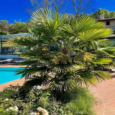Fabulous Foliage In Extensive Grounds You Will Love Staying Here In Paradise Villa Colle Umberto (Umbria)