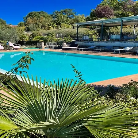 Fabulous Foliage In Extensive Grounds You Will Love Staying Here In Paradise *