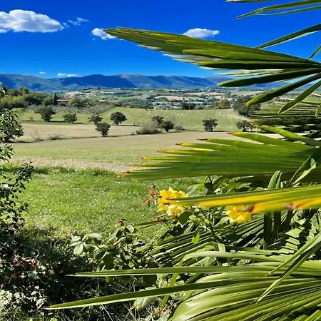 Fabulous Foliage In Extensive Grounds You Will Love Staying Here In Paradise Villa